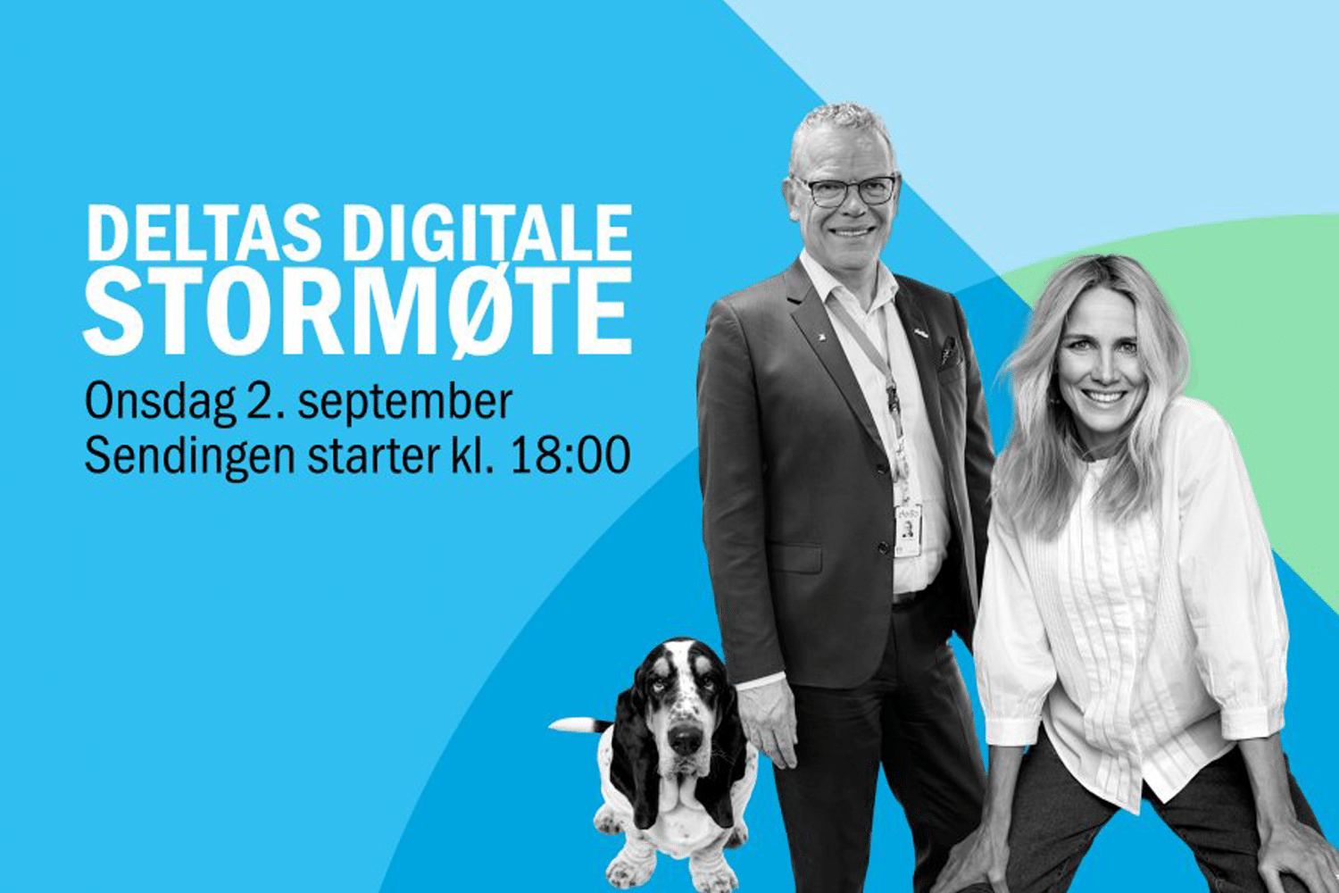 Digitalt stormøte Delta 2026